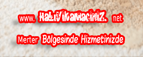 Merter Halı Yıkama